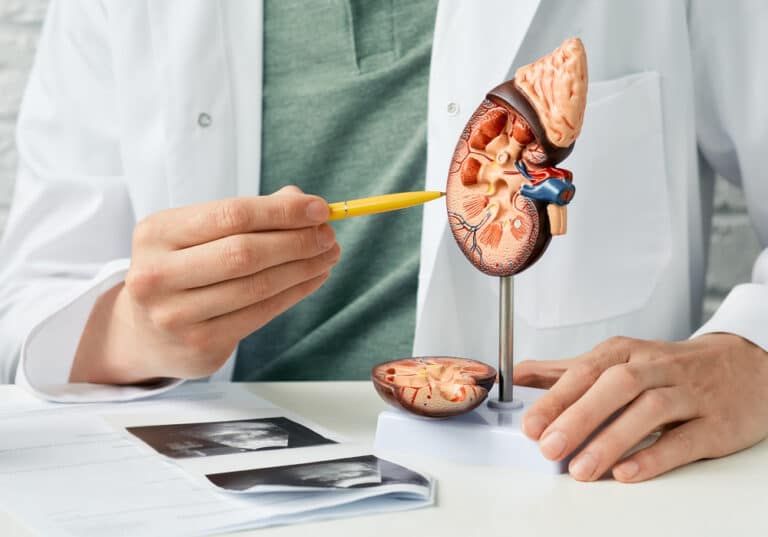 Urologia